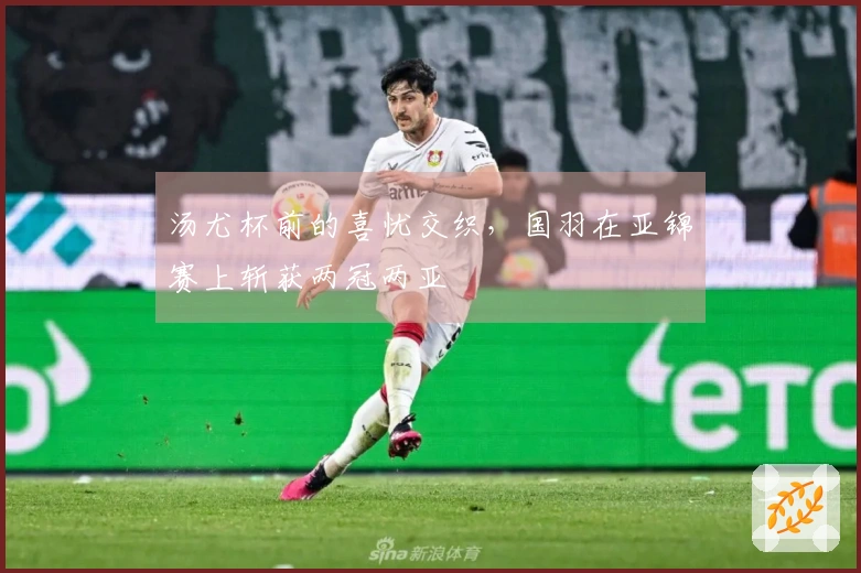 汤尤杯前的喜忧交织，国羽在亚锦赛上斩获两冠两亚
