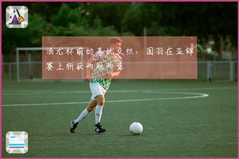 汤尤杯前的喜忧交织，国羽在亚锦赛上斩获两冠两亚