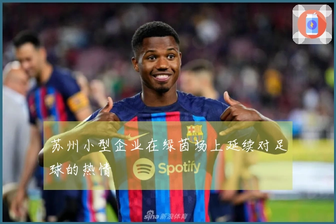 苏州小型企业在绿茵场上延续对足球的热情