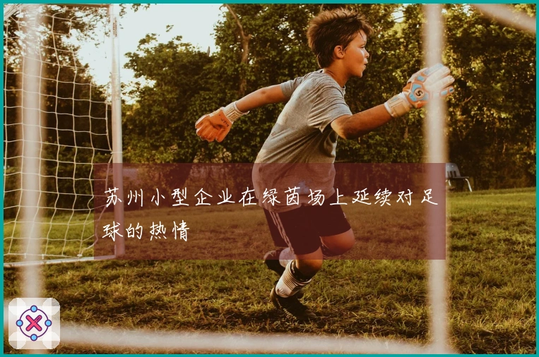苏州小型企业在绿茵场上延续对足球的热情